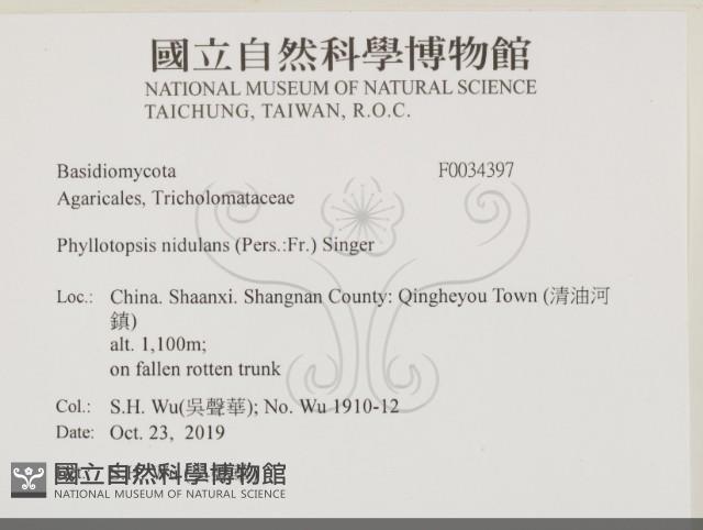 登錄號:F0034397藏品圖，第2張
