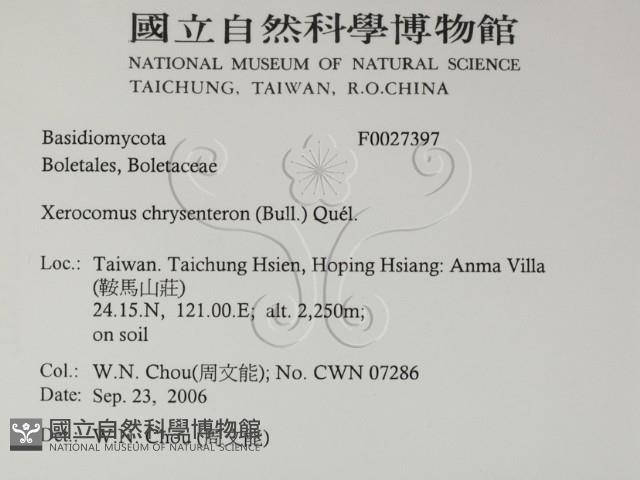 登錄號:F0027397藏品圖，第2張