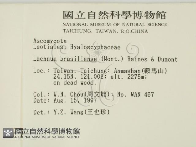 登錄號:F0007397藏品圖，第2張