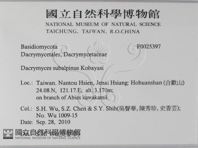 Accession Number:F0025397 Collection Image, Figure 2, Total 3 Figures