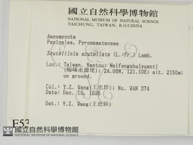 登錄號:F0005397藏品圖，第2張