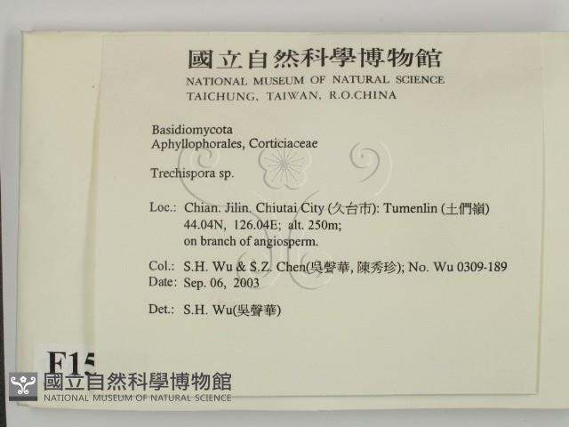 登錄號:F0015397藏品圖，第2張