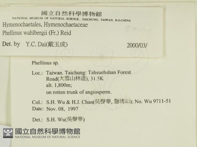 登錄號:F0009397藏品圖，第2張
