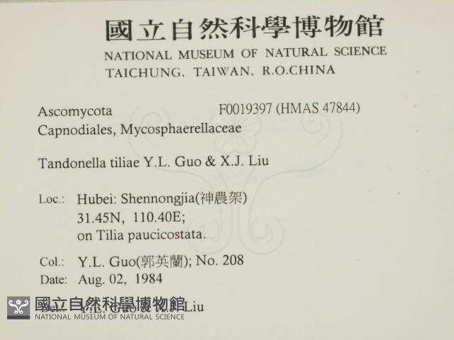 登錄號:F0019397藏品圖，第2張