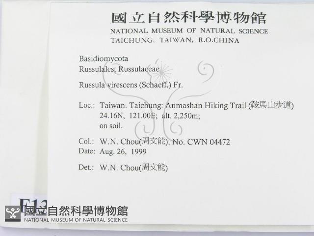登錄號:F0013397藏品圖，第2張