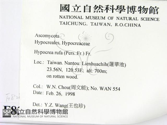 登錄號:F0008287藏品圖，第2張