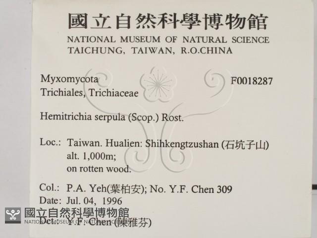 登錄號:F0018287藏品圖，第2張