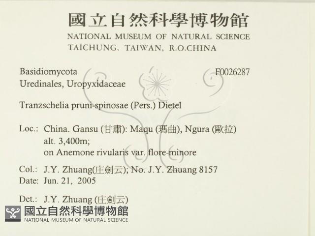 登錄號:F0026287藏品圖，第2張