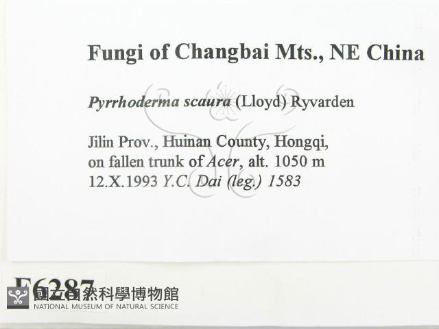 登錄號:F0006287藏品圖，第2張