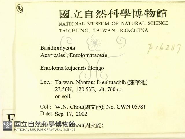 登錄號:F0016287藏品圖，第2張