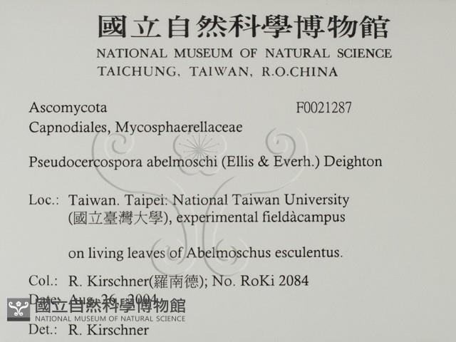 登錄號:F0021287藏品圖，第2張