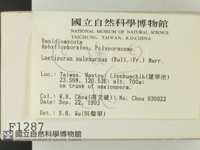 登錄號:F0001287藏品圖，第2張