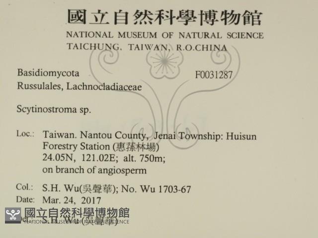 登錄號:F0031287藏品圖，第2張