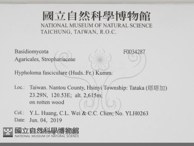 登錄號:F0034287藏品圖，第2張