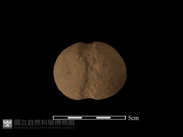 網墜藏品圖，第2張
