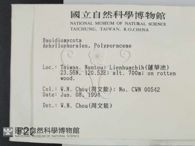 登錄號:F0002287藏品圖，第2張