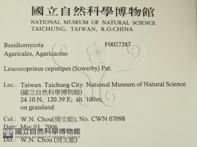 登錄號:F0027287藏品圖，第2張