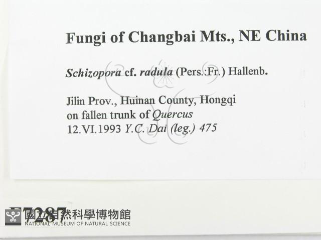 登錄號:F0007287藏品圖，第2張