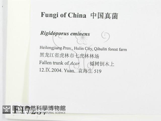 登錄號:F0017287藏品圖，第2張
