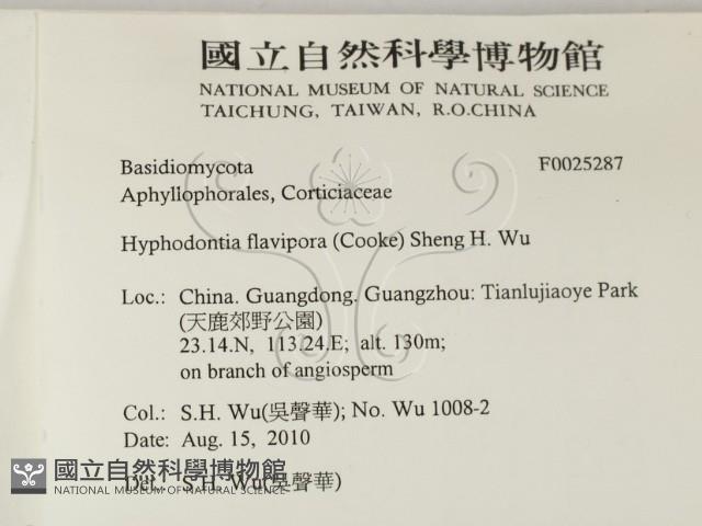 登錄號:F0025287藏品圖，第2張