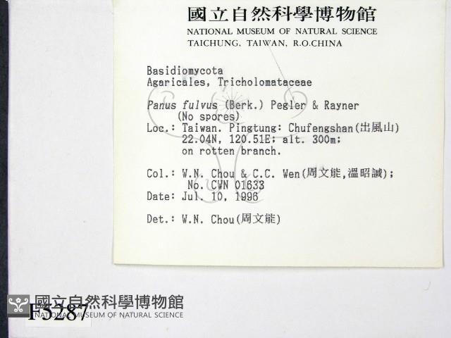 登錄號:F0005287藏品圖，第2張