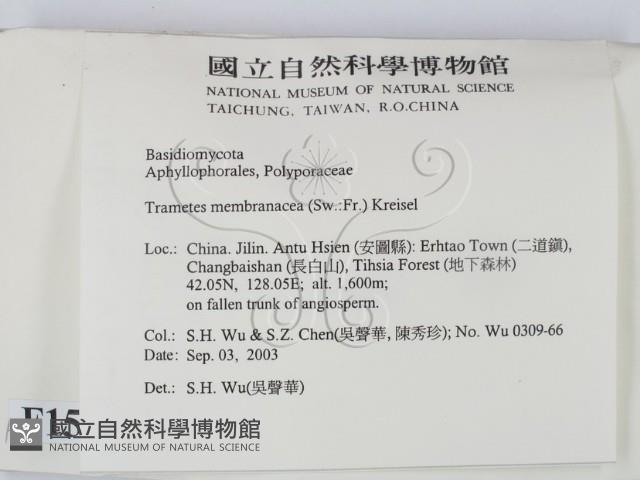 登錄號:F0015287藏品圖，第2張