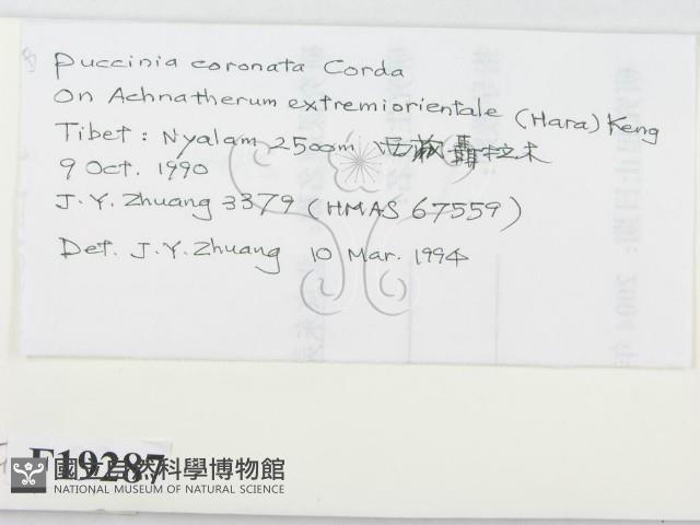 登錄號:F0019287藏品圖，第2張