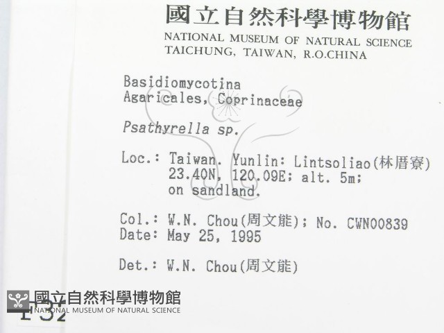 登錄號:F0003287藏品圖，第2張