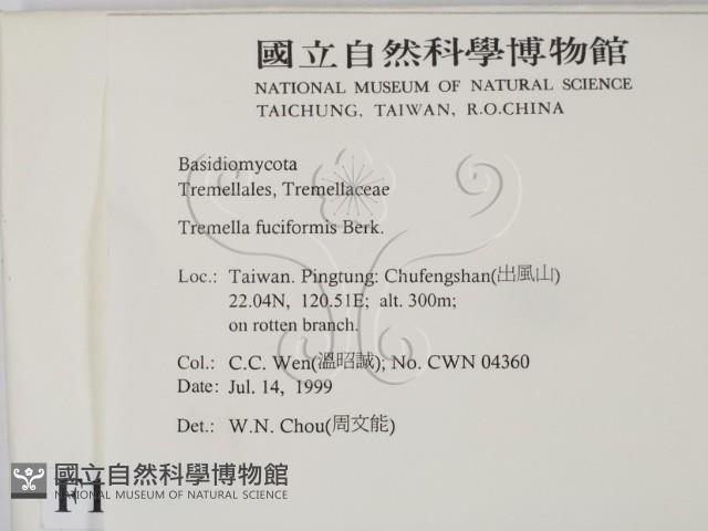 登錄號:F0013287藏品圖，第2張
