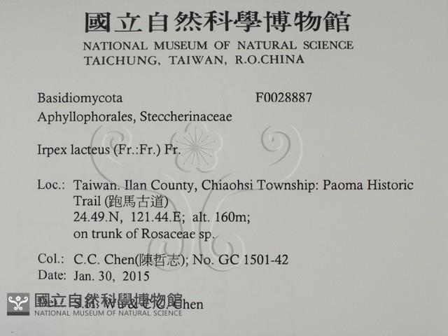 登錄號:F0028887藏品圖，第2張