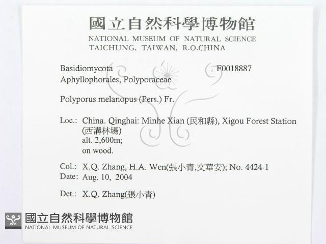 登錄號:F0018887藏品圖，第2張