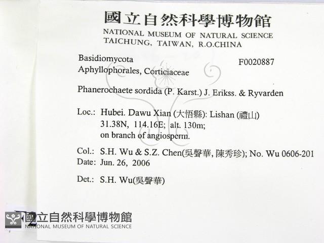 登錄號:F0020887藏品圖，第2張