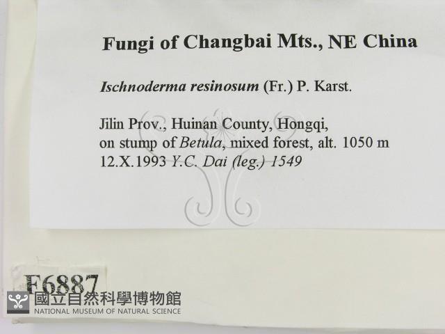 登錄號:F0006887藏品圖，第2張