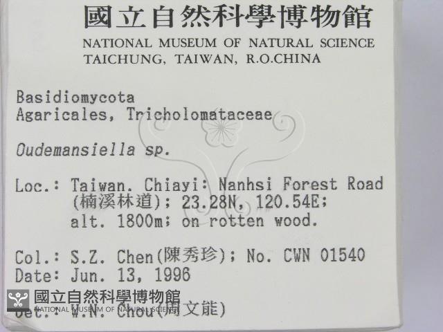 登錄號:F0004887藏品圖，第2張