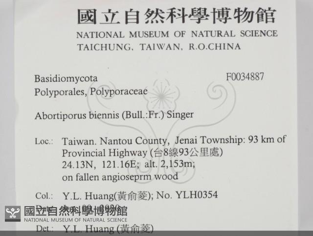 登錄號:F0034887藏品圖，第2張