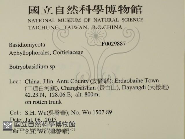 登錄號:F0029887藏品圖，第2張