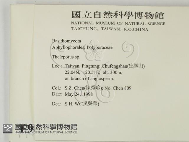 登錄號:F0009887藏品圖，第2張