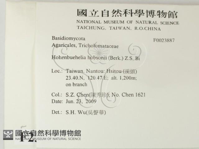 登錄號:F0023887藏品圖，第2張