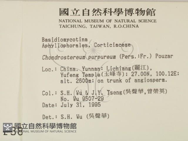 登錄號:F0003887藏品圖，第2張