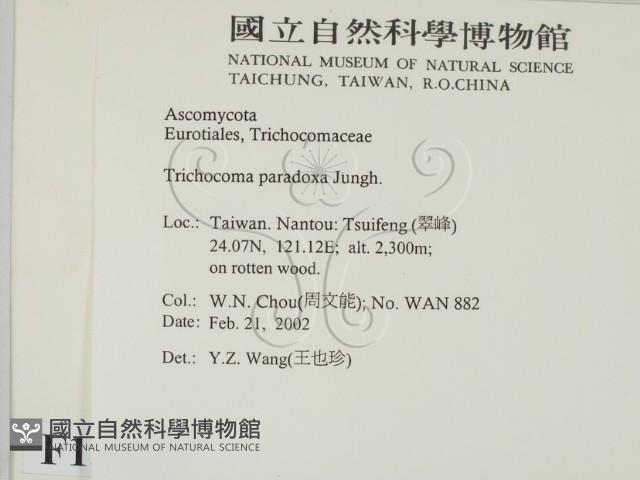 登錄號:F0013887藏品圖，第2張