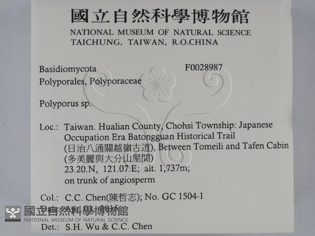 Accession Number:F0028987 Collection Image, Figure 2, Total 3 Figures