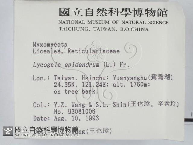 登錄號:F0000987藏品圖，第2張