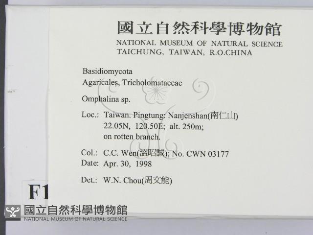 登錄號:F0010987藏品圖，第2張