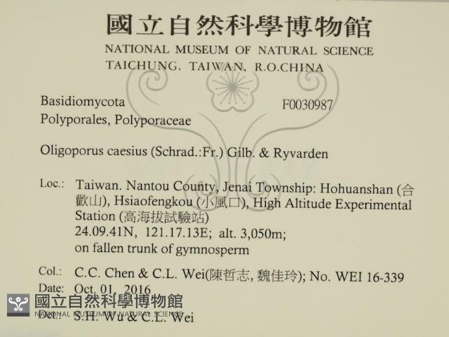 登錄號:F0030987藏品圖，第2張