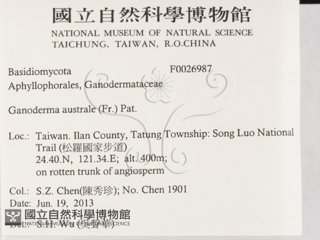 登錄號:F0026987藏品圖，第2張