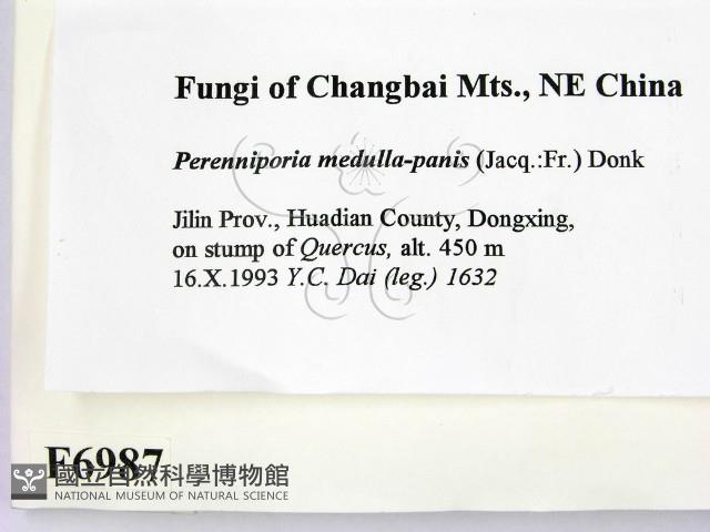 登錄號:F0006987藏品圖，第2張