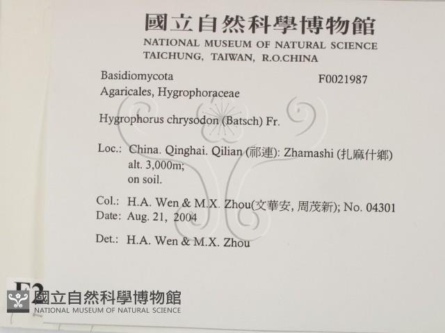 登錄號:F0021987藏品圖，第2張