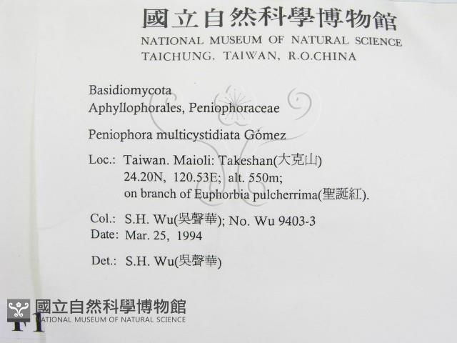 登錄號:F0011987藏品圖，第2張