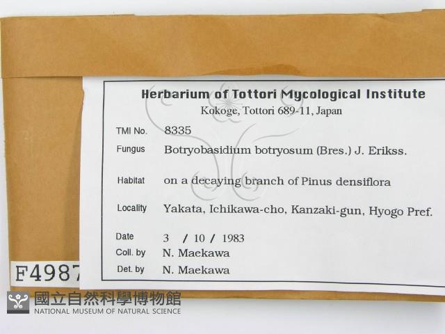 登錄號:F0004987藏品圖，第2張