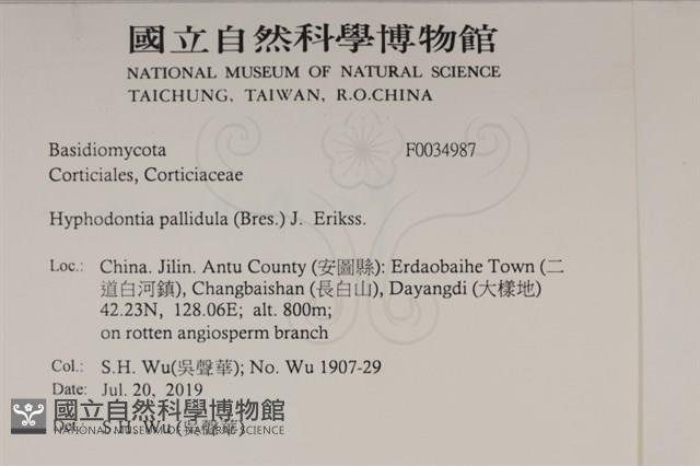 登錄號:F0034987藏品圖，第2張